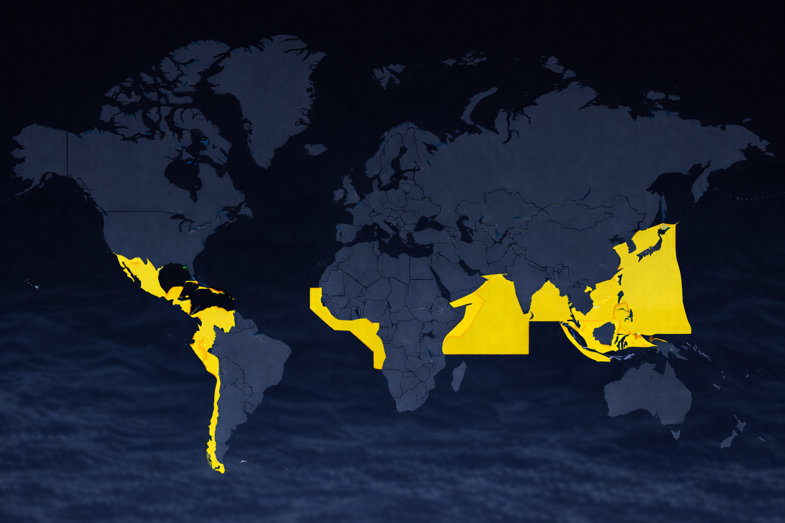 Shipping crisis management 2026: Piracy report
